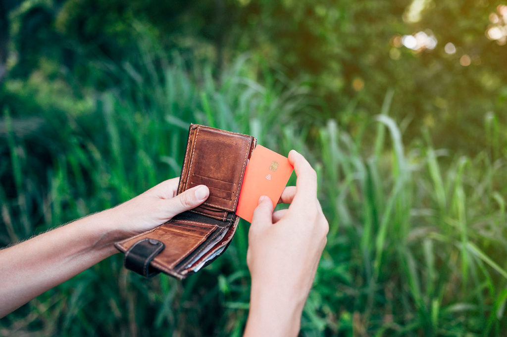 Hände, die ein Portemonnaie in der Wildnis öffnen