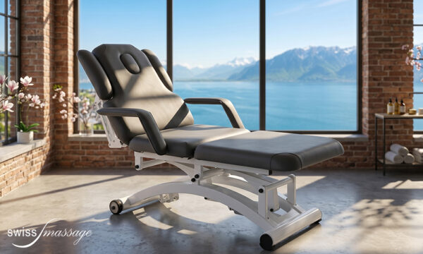 Table de massage modèle Ellipse Anthracite Suisse